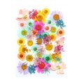 thumbnail image 1 of EGNMCR Fake Flowers, Artificial Flowers Dried And Embossed Flowers For Resin Kit Candles And Crafts Embossing material, 1 of 1
