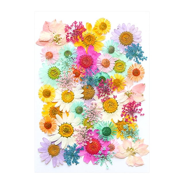 EGNMCR Fake Flowers, Artificial Flowers Dried And Embossed Flowers For Resin Kit Candles And Crafts Embossing material