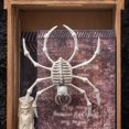 thumbnail image 4 of JJKBVCLO Halloween Skeleton Desktop Ornament For Indoor Decorations Scary Party Props And Home Decoration Creepy Halloween Scene, 4 of 9