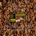 thumbnail image 4 of Exo Terra Substrat de noix de coco naturelle pour terrarium de reptiles, brun, 8 Qt (8,8 L), 4 of 5