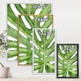 thumbnail image 4 of Designart Green Monstera Leaf Tropical Palm Botanical Detail FLOAT FRAME WALL ART, 4 of 4