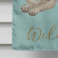 thumbnail image 4 of Carolines Treasures BB8569CHF Raccoon Welcome Flag Canvas House Size, 4 of 4