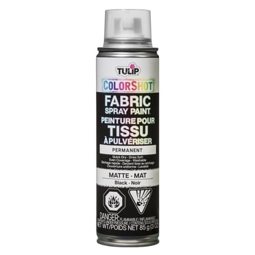 Tulip ColorShot Black Instant Fabric Color Spray