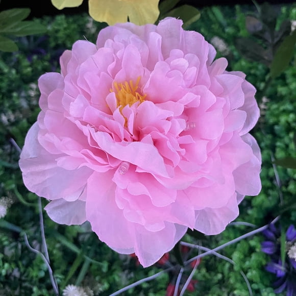 WIFKLSIIPG Solar Peony Flower Ground Plug Lamp Automatic Opening Outdoor Courtyard Villa Entrance Garden Decoration Lamp Balcony Flower Lamp