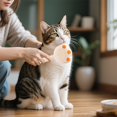 thumbnail image 5 of Pet Spray Comb Massage Comb Cat Comb Dog Comb Cat Cleaning Pet Brush Pet Spray Combing, 5 of 5