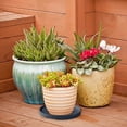 thumbnail image 3 of Support de Jardinière à Roulettes avec 2 Plateaux Ronds Transportable sur Roues pour Usage Intérieur Extérieur Polyvalent Maison Dortoir et Présentation Pratique, 3 of 5