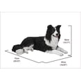 thumbnail image 4 of BORDER COLLIE Couché, 4 of 4