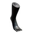 thumbnail image 1 of Mannequin Feet Model Jewelry Display Stand Sock Display for Shop Shoes Socks black left, 1 of 8