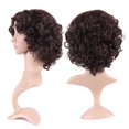 thumbnail image 2 of Perruque Longue Synthétique Bouclée avec Frange Cheveux Courts Perruques Résistantes à la Chaleur Perruque Complète Tête Complète pour Femmes Blond Mèches, 2 of 4