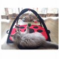 thumbnail image 3 of Tapis de Jeu pour Chat avec Petits Jouets Suspendus, 3 of 6