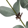 thumbnail image 2 of Bouclair Tige d'Eucalyptus Artificielle Verte, 2 of 3