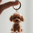thumbnail image 1 of Dog Hair Collector Keychain Charm Memorial Storage Box Pet Hair Memorial Keepsake Transparent Cute Keychain, 1 of 6