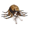 thumbnail image 4 of Zack & Zoey UM4195 12 Fuzzy Tarantula Costume- Small, 4 of 4