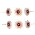 thumbnail image 1 of Marrakesh Bouton de Cabinet Rose (Ensemble de 6), 1 of 3
