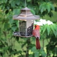 thumbnail image 2 of Small Lantern Bird Feeder, 2 of 2