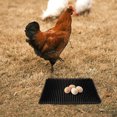 thumbnail image 2 of Tapis Pliable pour Œufs de Poule Tapis Imperméable Coussin Multifonctionnel pour Poules, 2 of 9