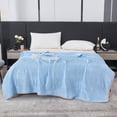 thumbnail image 1 of Summer Cooler Quilt for Double Bed | All-Season Soft Polyester Duvet Cover | 60 x 79 Inches | Lightweight & Breathable | Machine Washable | Multiple Colors Available, 1 of 7