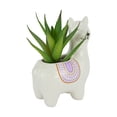 thumbnail image 2 of Anko Llama Artificial Succulent, 2 of 6