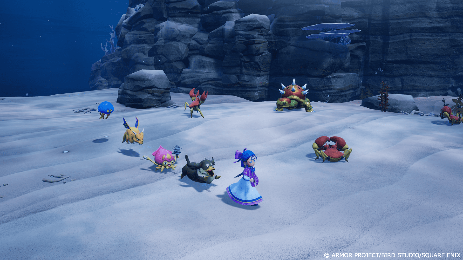 Jeu vidéo DRAGON QUEST Monsters: The Withered World pour (PlayStation 5)
