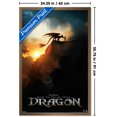 thumbnail image 3 of Dragons (2025) - Fiche d'information, 3 of 3