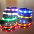 thumbnail image 3 of Collier Lumineux Réglable pour Animaux de Compagnie Randonnée Rechargeable Animal Allumé Nuit Marche Animal Allumé Choker Portable Lavable Colliers Animaux de Compagnie Fournitures Cadeau Blanc S, 3 of 8