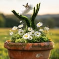 thumbnail image 4 of EARKITY Acrylic Potted Plants And Courtyard Decorative Floor Tiles, 4 of 6