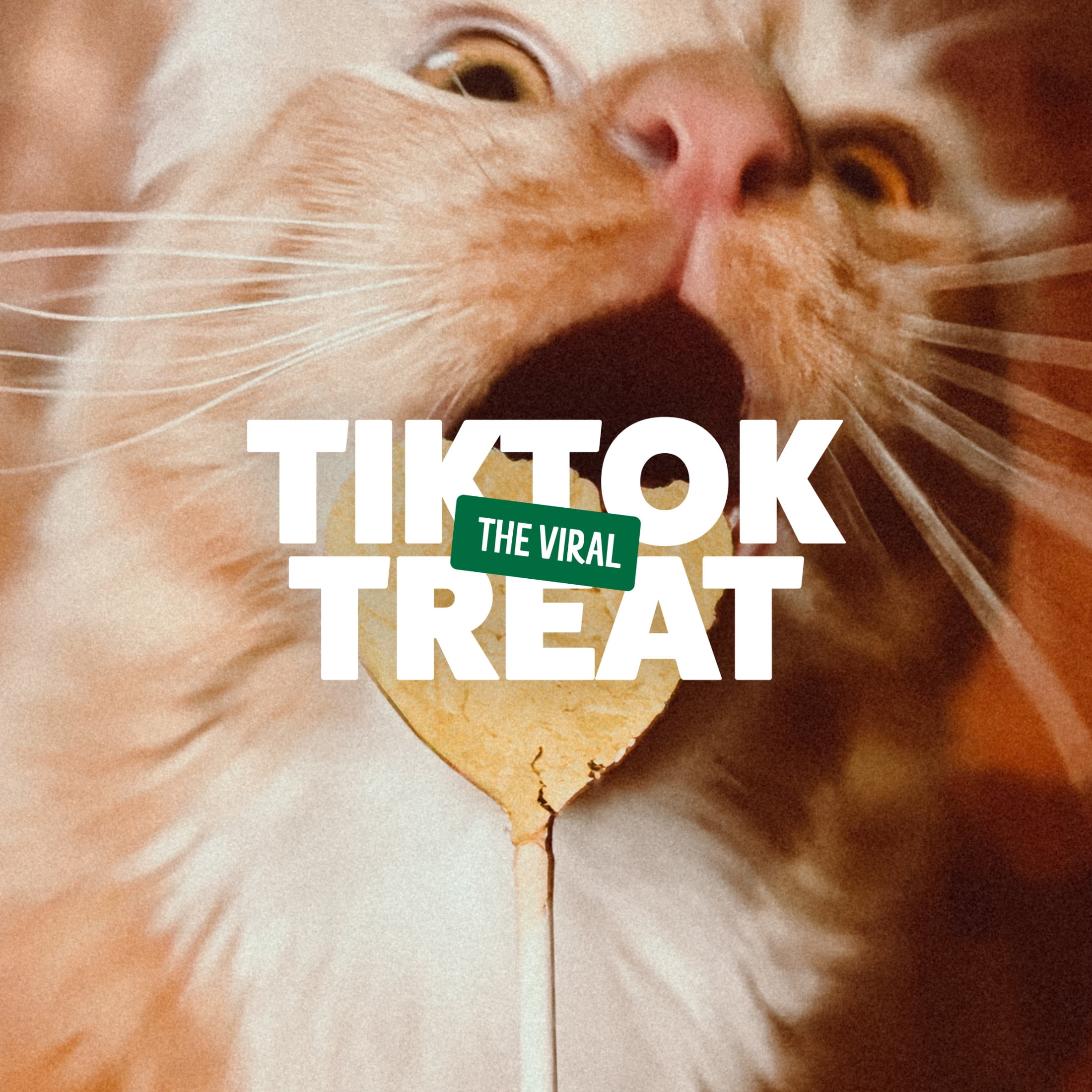 BONKERS Purrpops Krispy Kreme Édition Limitée Gâteries pour Chats en Sucette Lyophilisées à Saveur de Poulet Lot de 4