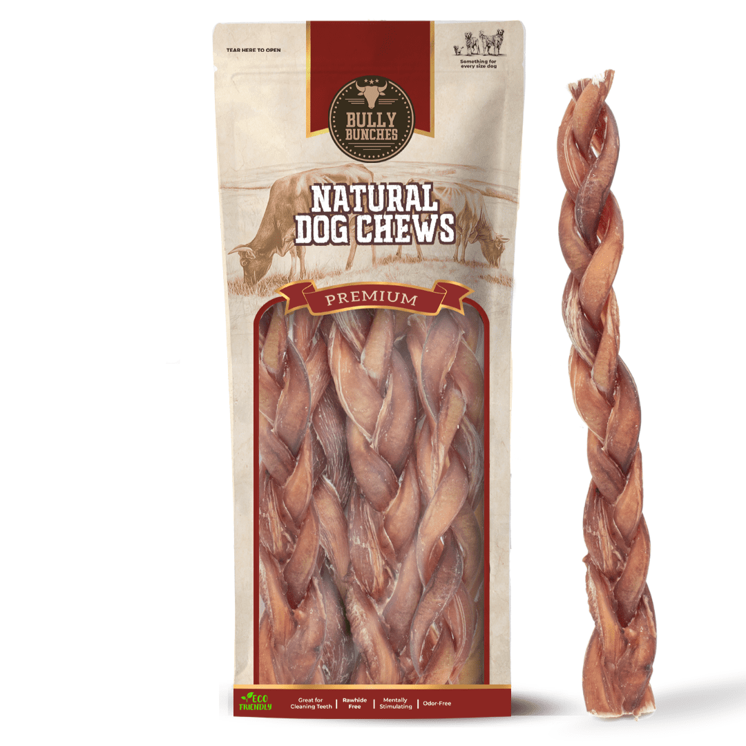 Bully Bunches 12" Braided Bully Sticks Odour Free All Natural Dog Chews 5 Pack