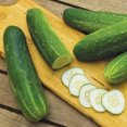 thumbnail image 5 of Burpee Organic Garden Sweet Burpless Hybrid Cucumber, Plant Seeds for Home Garden, 5 of 5