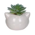 thumbnail image 4 of Artificial Succulent Plant in Raccoon Planter, 4 of 4