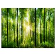 thumbnail image 2 of Design Art Forest with Rays of Sun Panorama Landscape Canvas Art Print, 2 of 3