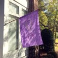 thumbnail image 2 of Carolines Treasures AN1200CHF Lavender Ribbon for All Cancer Awareness Canvas House Flag Size - 28 x 40 In., 2 of 4