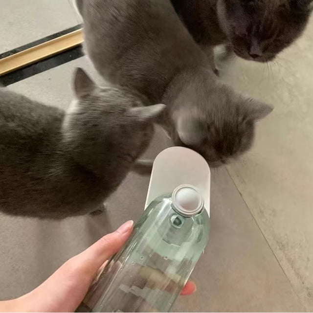 Gobelet de Voyage Portable pour Animaux de Compagnie Conteneur d'Eau et de Nourriture pour Chiens Chats Randonnée Extérieure Camping Durable Design ABS