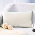 thumbnail image 1 of Rectangle Velvet Throw Pillow Cover, Waist Pillow Cushion, 30×50cm, Polyester Material, Envelope-Style Closure, Fresh Breathable, Washable, Comfortable Brushed Fabric, Suitable As Gift, 1 of 6