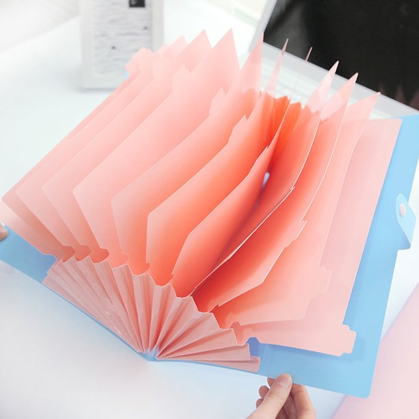 1PC Expanding File Organizer with 12 Pockets, Accordion File