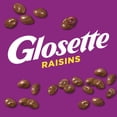 thumbnail image 2 of Friandises Raisins GLOSETTE, Enrobage chocolaté, Parfait pour le partage, 275 g, 2 of 7