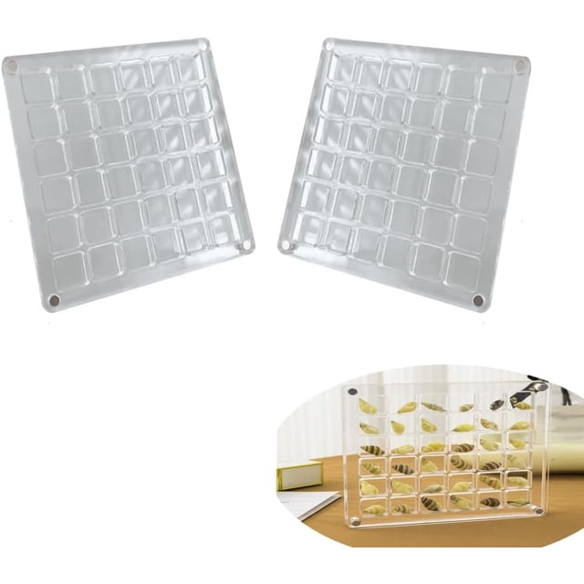 Changyeah Boîte d'Exposition en Acrylique pour Coquillages, 2 Pcs Organisateurs de Rangement Magnétiques Transparents, Boîte Transparente à 36 Compartiments, Petit Conteneur pour Perles, Ongles, etc.
