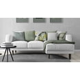 thumbnail image 5 of Home Trends Pillow Sauge 2-Pack 20X20, 5 of 5