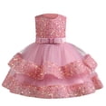 thumbnail image 1 of Birdeem Girls Summer New Sleeveless Ruffled Lace Round-Neck Embroidery Mesh Princess Bow Skirt, 1 of 12