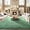 Mintgreen, variant on Pink Area Rugs for Bedroom, 3x5 Fluffy Nursery Rug Soft Shag Rugs for Living Room, Small Fuzzy Plush Shaggy Carpets for Girls Teen Dorm Room Kid Room Home Decor (3ft x 5ft, Pink)