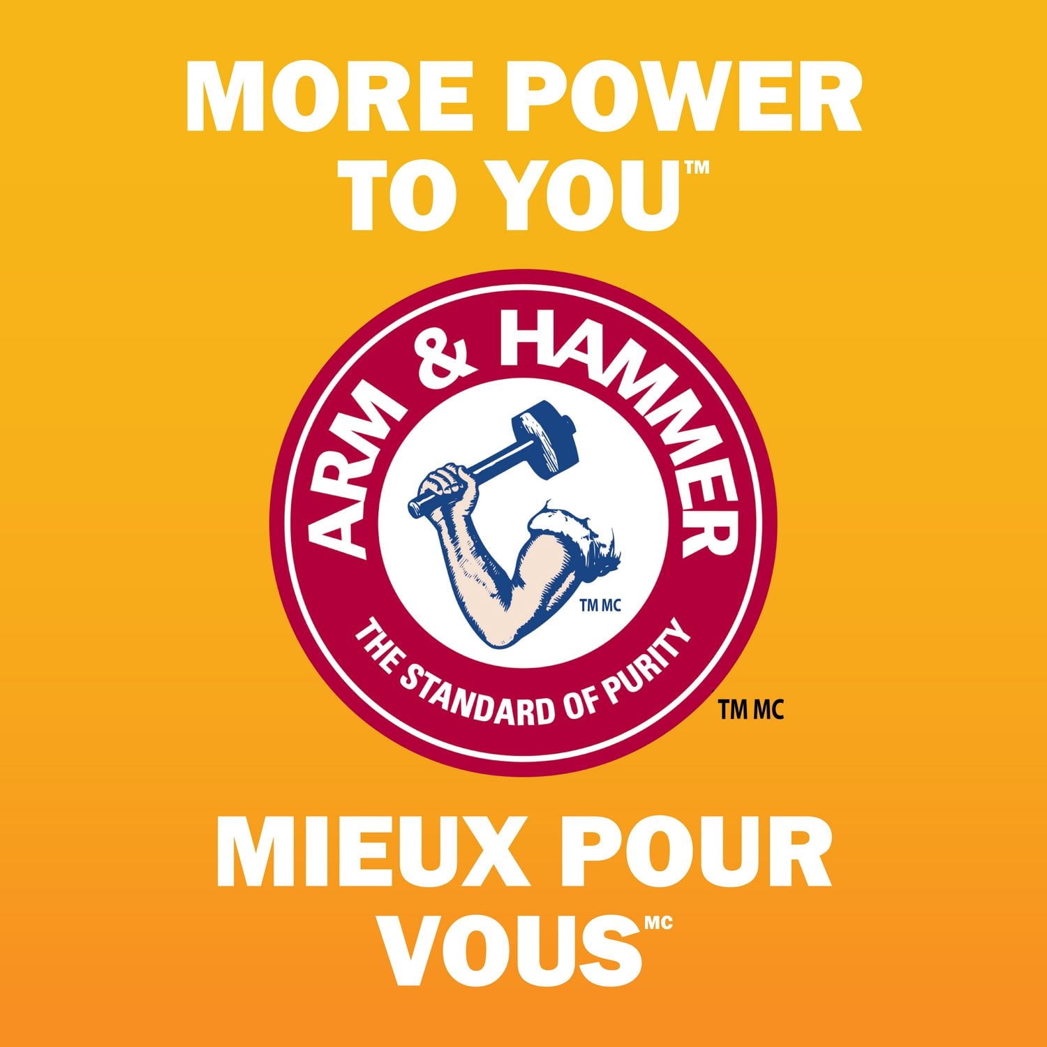 Arm & Hammer Clump & Seal Multi-Cat Clumping Cat Litter, 17.2 kg