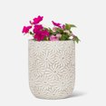 thumbnail image 1 of Linen Chest White Daisy Planter - 6.5", 1 of 2