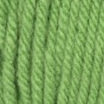 thumbnail image 2 of Caron® One Pound™ Yarn, Acrylic #4 Medium, 16oz/454g, 812 Yards, 2 of 7
