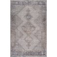 thumbnail image 1 of Rug Branch Atlas Persian Indoor Area Rug, Beige Grey, Distressed - Living Room, Bedroom, Dining Room, and Kitchen, 1 of 5