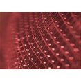 thumbnail image 1 of Ahgly Company Tapis Rectangulaire Lavable en Machine Intérieur Transitionnel Rouge Canneberge, 6 Pieds x 9 Pieds, 1 of 7