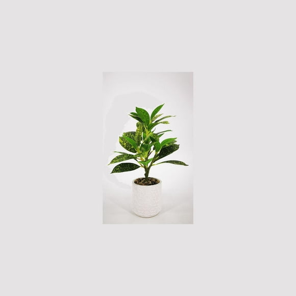 Lerman Decor's artificial plant