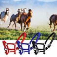 thumbnail image 4 of VONKY Collier de Tête pour Poney à Tour de Cou Rembourré Ajustable Grande Résilience Protection Fournitures pour Cheval Antirouille Professionnel Rouge TG, 4 of 6