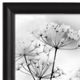thumbnail image 4 of Nikolai Black Document Frame, 4 of 5