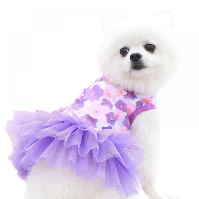 Chien Robe pour Chien Chiot Doux Robes d'Été pour Animaux de Compagnie Floral Robe de Princesse pour Chiens et Chats