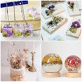 thumbnail image 5 of Unique Bargains Fleurs Séchées Naturelles Multiples Colorées Véritables Fleurs Pressées Séchées Plante Série Rouge, 5 of 5